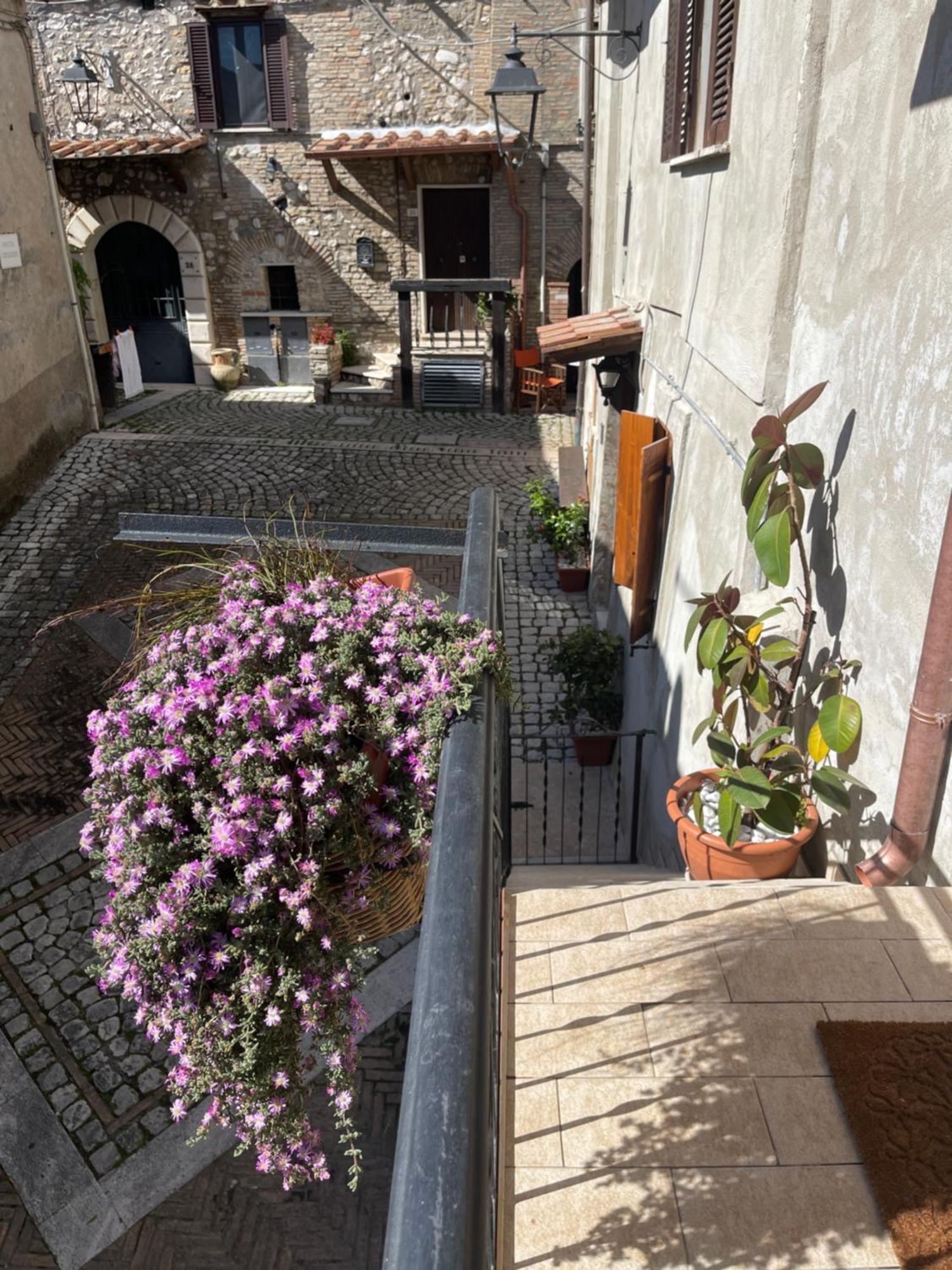 Il Borghetto Apartment Mentana Bagian luar foto